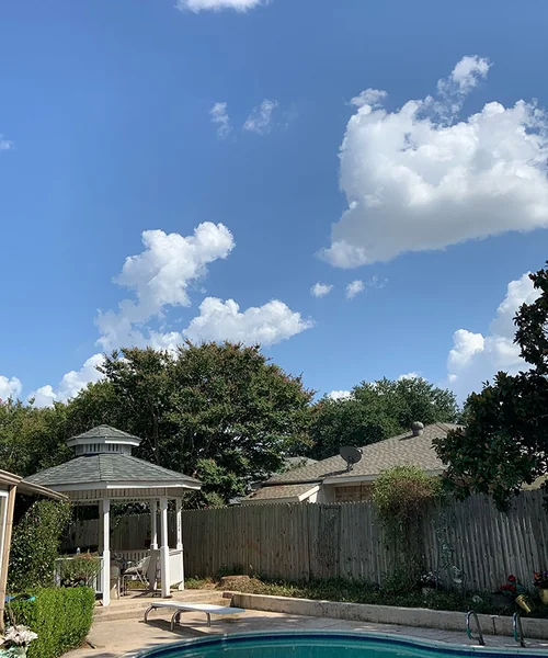 Tree Removal in Fort Worth 
